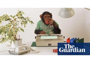 Universe would die before monkey with keyboard writes Shakespeare, study finds