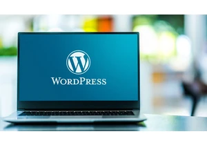  Another serious WordPress plugin vulnerability could put 40,000 sites at risk of attack 