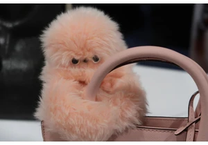 This fluffball robot stole my heart at CES 2025