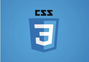 New CSS that can actually be used in 2024