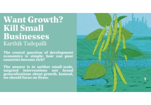 The missing middle: firms in developing countries