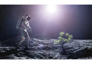 Will plants grow on the moon?