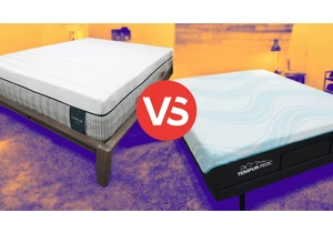 Leesa Reserve vs Tempur-Pedic: Which Memory Foam Bed Is Best for You? video     - CNET