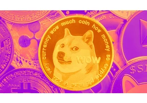 Dogecoin Surges Following Elon Musk News. What's Going on With This Popular Meme Coin?