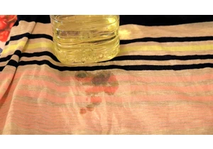 Stain Removal Guide: How to Scrub Blood, Grease, Wine, Oil and More From Clothes