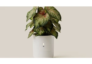 New Smart Planter at CES 2025 Lets Plants Shout When They Need More Water or Light