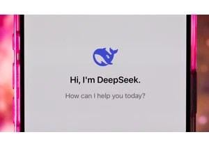 What Is DeepSeek? Everything to Know About the New Chinese AI Tool