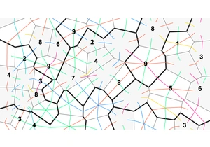 A New Sudoku Layout with 81 Uniquely Shaped Cells