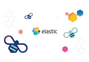 Be successful at Elastic with the Beehive model