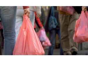 Did California Ban Plastic Bags? What the New Law Means