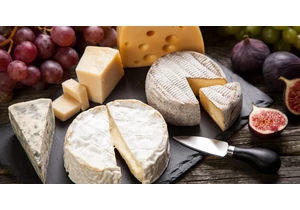 Eating cheese plays a role in healthy, happy aging – who are we to argue?