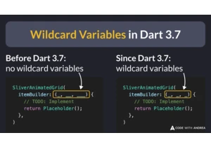 Wildcard Variables in Dart 3.7