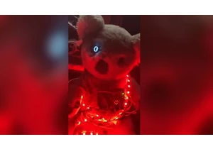  Raspberry Pi powers creepy one-eyed, head-swiveling stuffed koala assistant with ChatGPT 