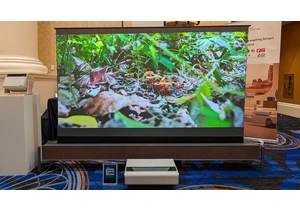 Finally, A Roll-Up Projector Screen of Your Budget TV Dreams