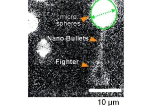 Japonská nanovideohra je zázrakem nanotechnologií