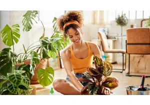 No Yard? No Problem: 6 Apartment Gardening Tips for Small Spaces