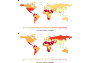 Type 2 Diabetes and cardiovascular disease attributable to sugar beverages