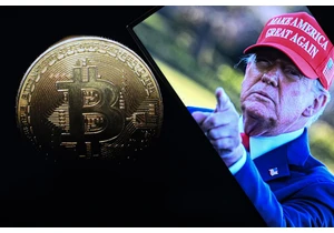 Trump's federal Bitcoin reserve order leaves the crypto market unenthused