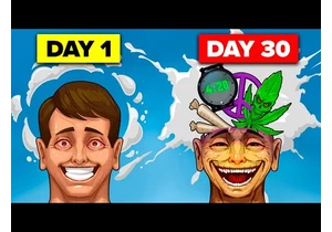 This is What Happens to Your Brain if You Smoke Weed (Compilation)