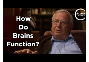 Michael Merzenich - How do Brains Function?