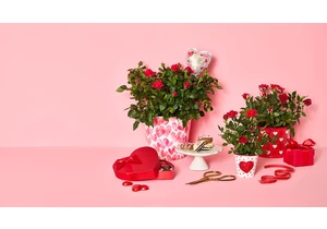 10 Unique Valentine's Day Gifts from 1-800-Flowers for Everyone You Love