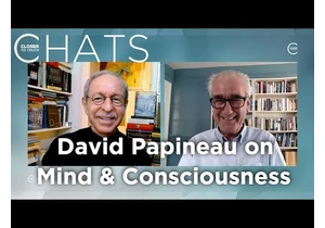 David Papineau on Consciousness, Physics, & the Mind-Body Problem | Closer To Truth Chats