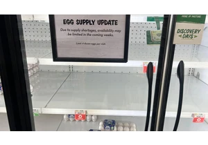 Egg Prices Are Bonkers Right Now. What's Going On and When Will They Drop?