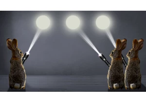Research on the visual rabbit illusion takes a leap forward