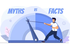 WordPress SEO Myths Busted: What You Really Need To Know via @sejournal, @cshel