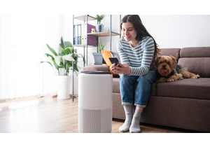 What's Better for Allergies: A Humidifier or an Air Purifier?