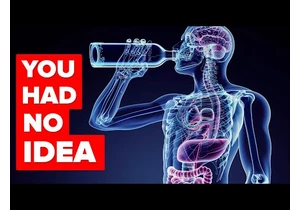 What Happens To Your Body When You Start Drinking Alcohol (Minute by Minute)