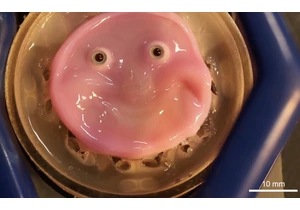 This cute pink blob could lead to realistic robot skin