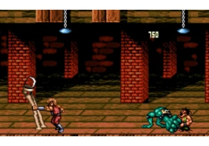 Battletoads/Double Dragon headbutts its way onto Nintendo's Switch Online library