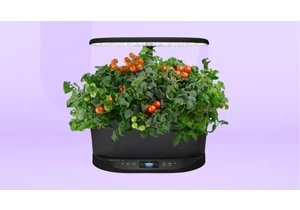 Save Up to 30% Off at AeroGarden Right Now With This Offer Code