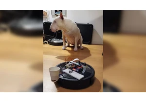  Maker turns old Roomba vacuum into a Raspberry Pi-powered AI dog-feeding robot 