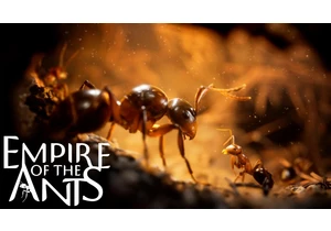 Empire of the Ants will let you explore a photorealistic bug’s life this November