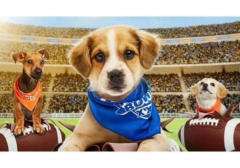 When Is Puppy Bowl 2025? How to Watch the Super Cute Showdown