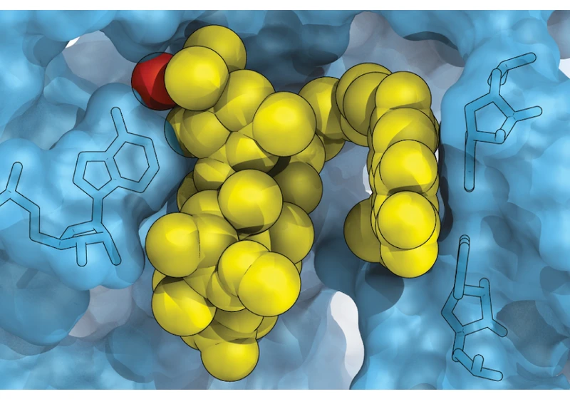 Dual-action antibiotic could make bacterial resistance nearly impossible