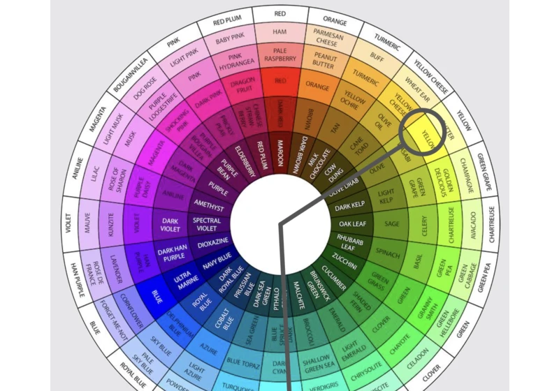 Dynamic Color Schemes: How an Website Evolves Daily