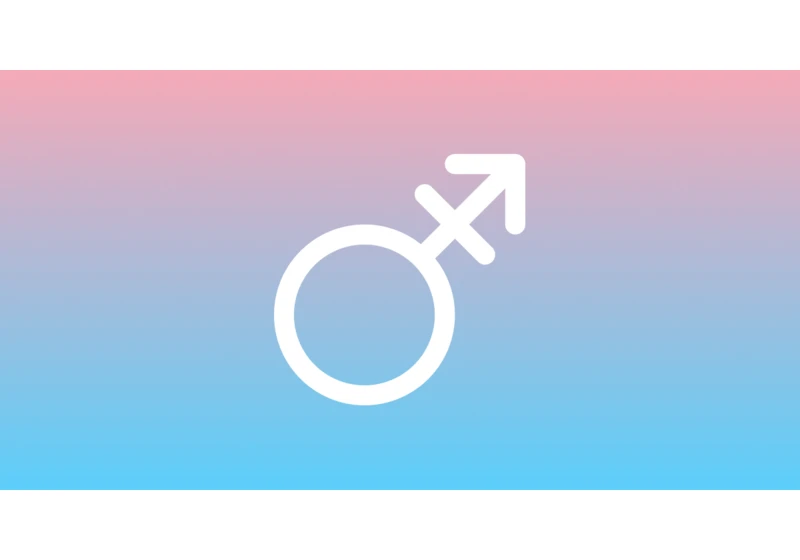 Show HN: I built an active community of trans people online