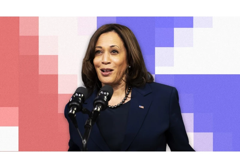 A look back at Kamala Harris’s yearslong crusade against online sex work