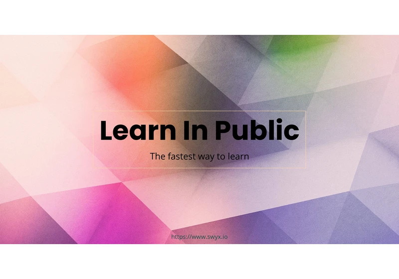 Learn in Public (2018)