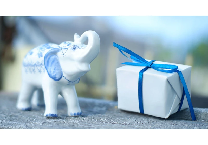 The 7 best white elephant gifts for 2024