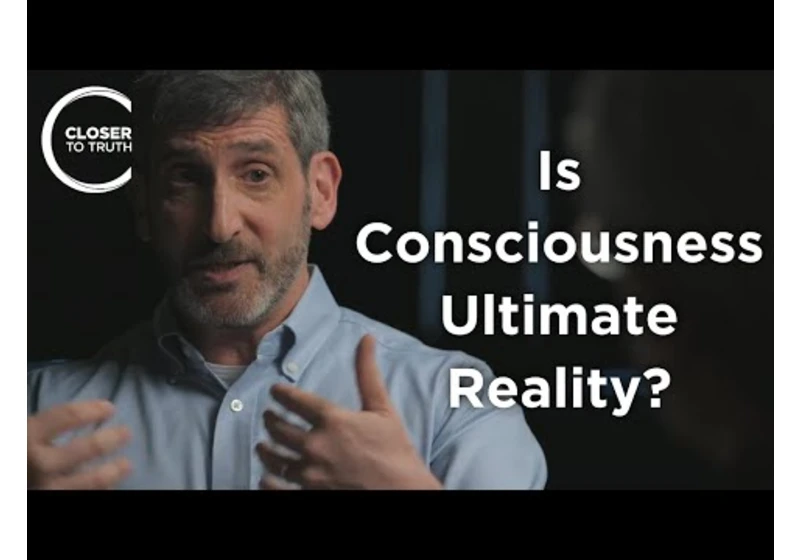 Neil Theise - Is Consciousness Ultimate Reality?