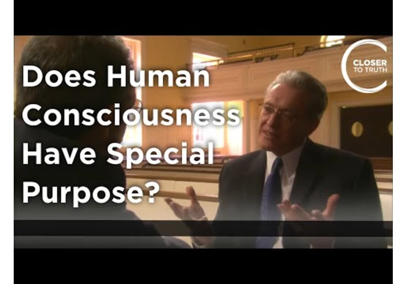 J. van Huyssteen - Does Human Consciousness have Special Purpose?