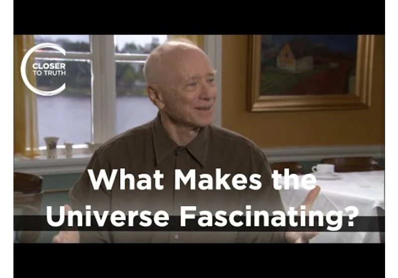 David Finkelstein - What Makes the Universe Fascinating?