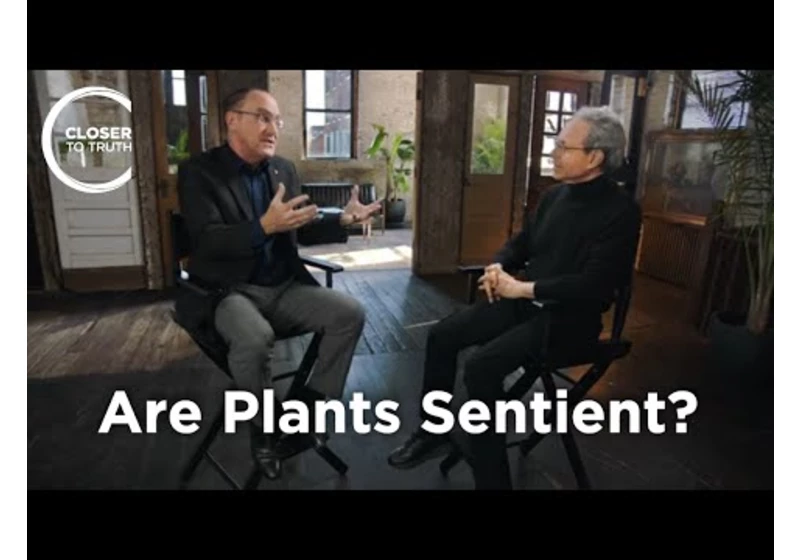 Daniel Chamovitz - Are Plants Sentient?