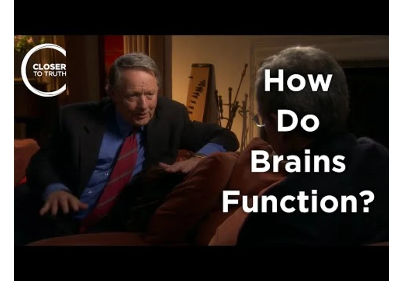 Henry Stapp - How Do Brains Function?