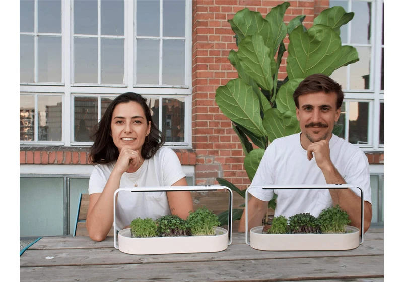 Hamburg-based foodtech ingarden secures €500K in funding to revolutionize the cultivation of microgreens at home