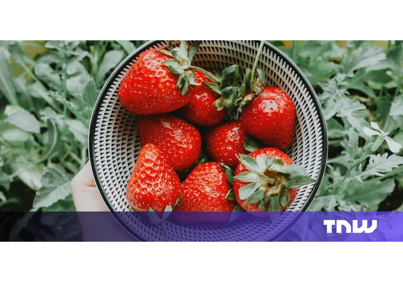 Can OpenAI’s Strawberry program deceive humans?